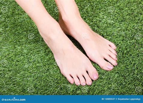 dainty feet|Pretty Toes Images – Browse 15,995 Stock Photos, .